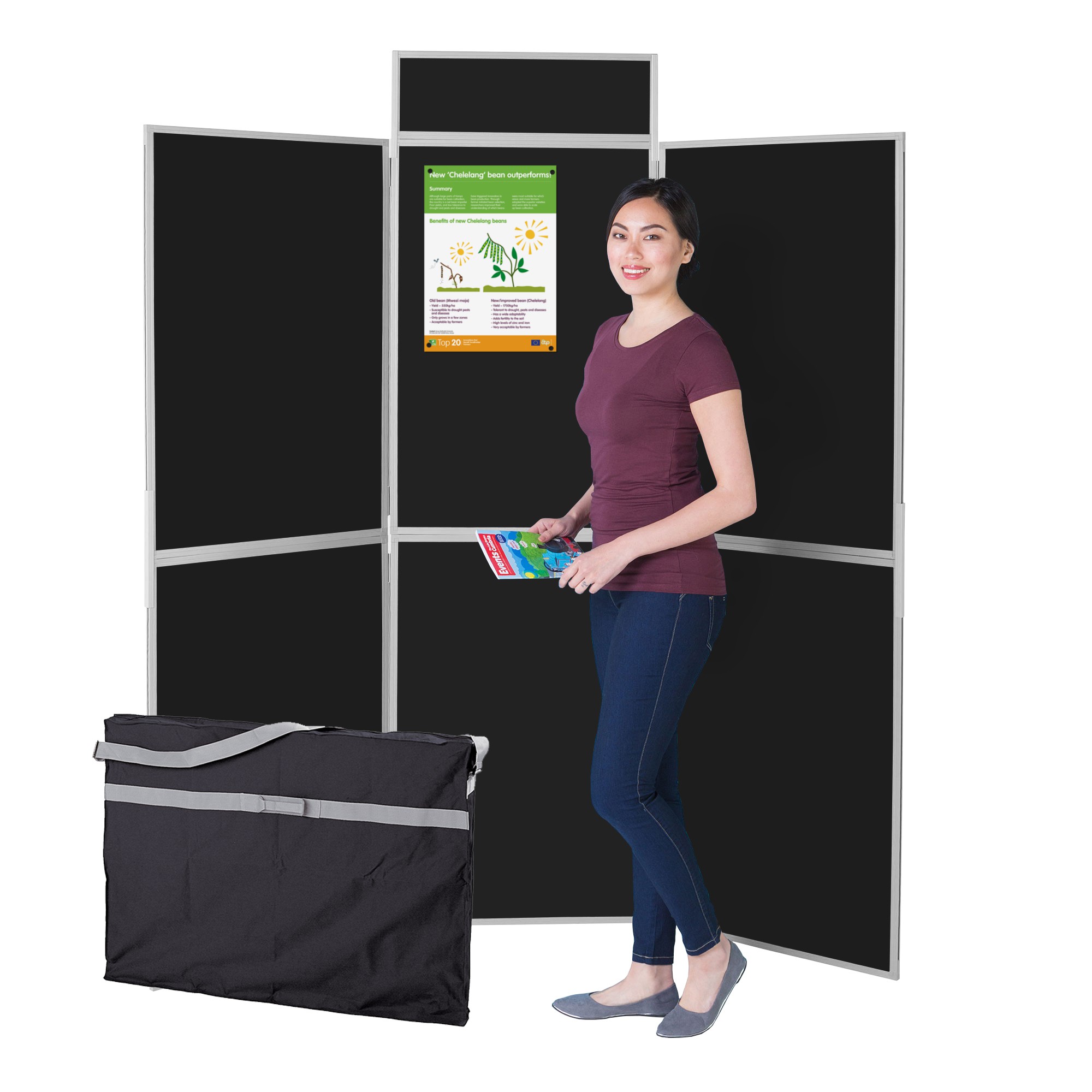 Folding 6 Panel Display Kit - Plastic Frame